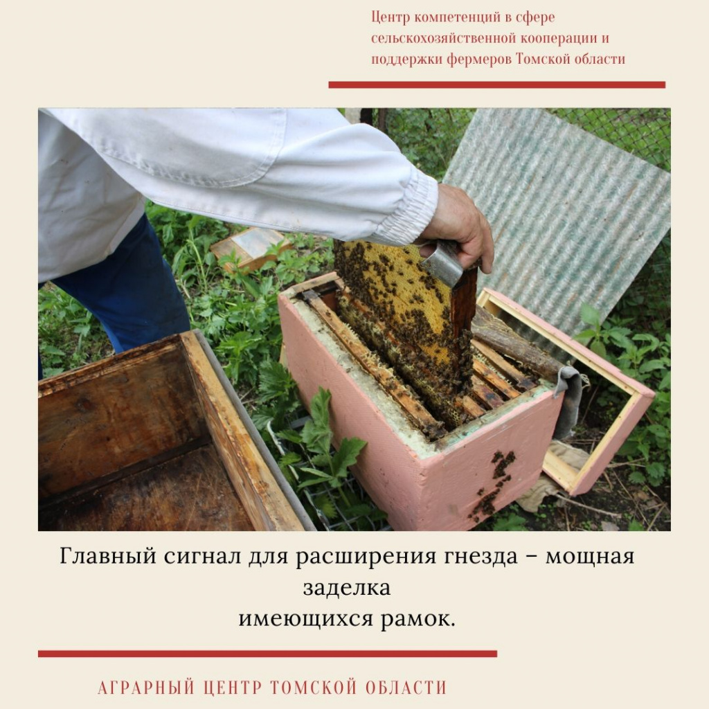 мастер-класс  2.jpg
